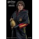 Harry Potter My Favourite Movie Action Figure 1/6 Harry Potter Triwizard Tournament Version 29 cm